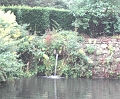 PICT0224 Ightham Mote moat